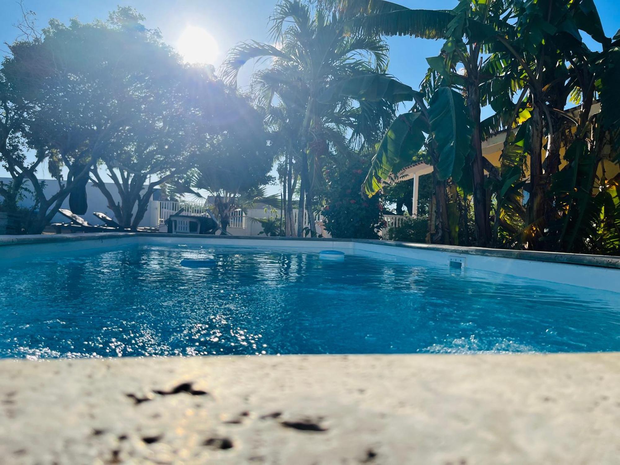 Hotel Bon Bini Kokolishi Willemstad Esterno foto